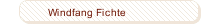 Windfang Fichte
